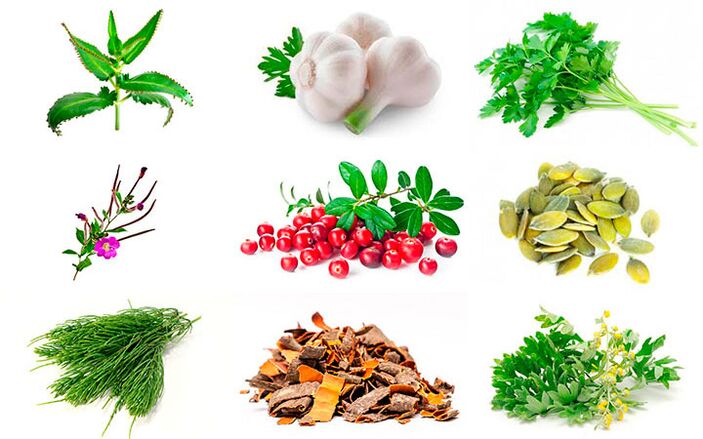 lidové léky pro léčbu prostatitidy